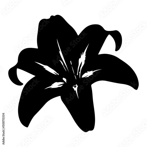 Black silhouette of Lily flower white background