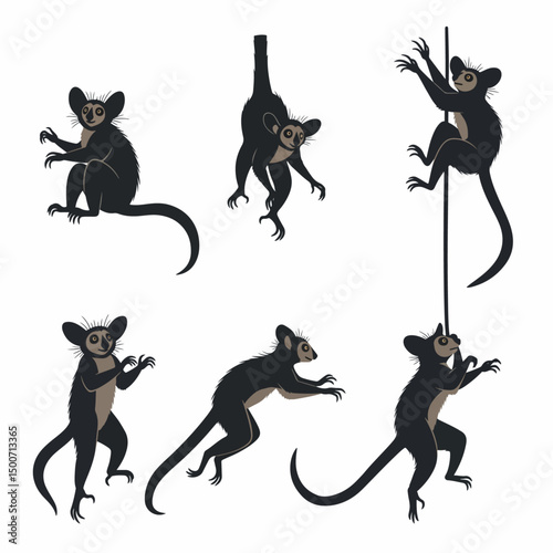 Aye-aye lemurs poses primates wildlife