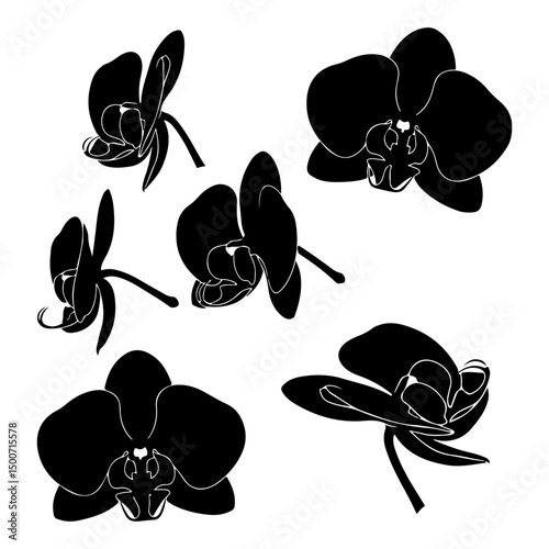 Set of black silhouette of orchid flowers