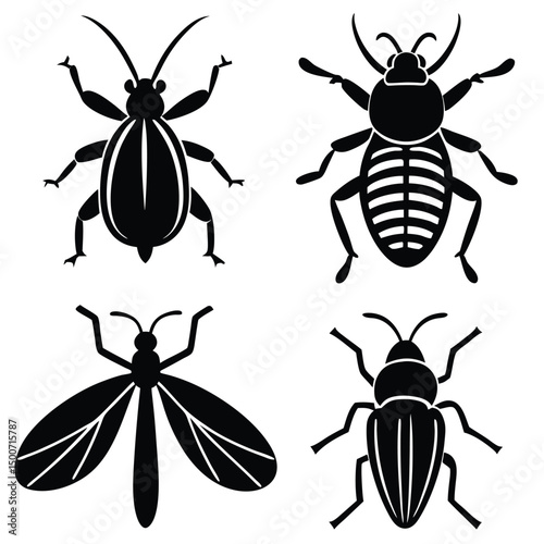 vector collection of beetle