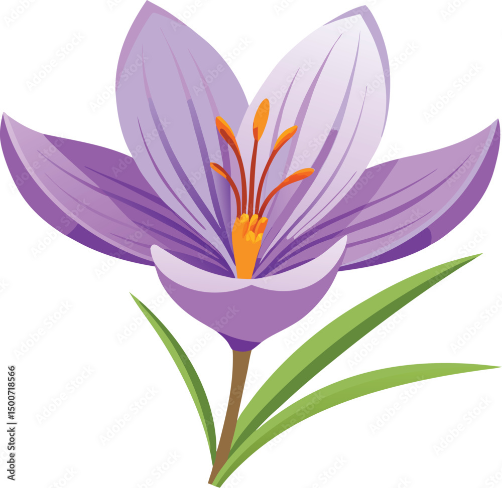 Naklejka premium purple crocus flower