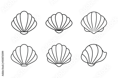 cute cartoon beach seashell vector photo