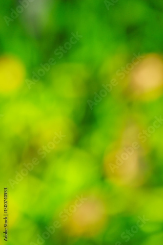 Green bokeh blurred background