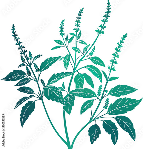 Tulsi Plant Silhouette Illustration Design. Holy Basil Tulsi Plant Silhouette Art. Minimal Tulsi Plant Silhouette for Nature Themes. Tulsi Leaf and Plant Silhouette Illustration