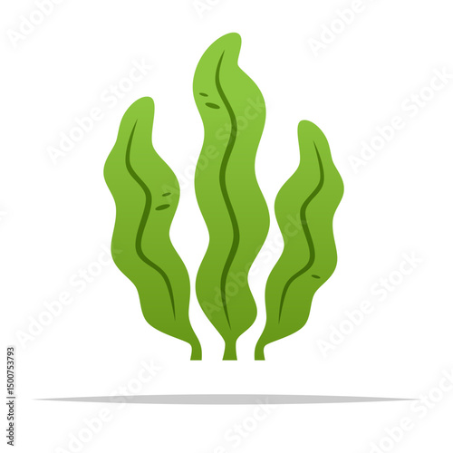 Green seaweed vector isolated illustration