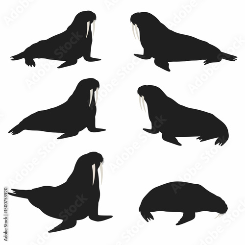 Walrus silhouettes collection arctic sea animals