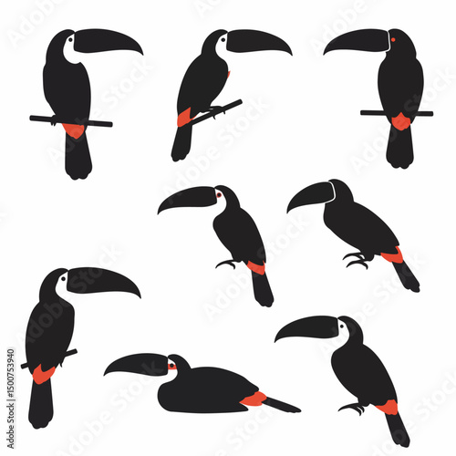 Toucan birds collection perched on branches