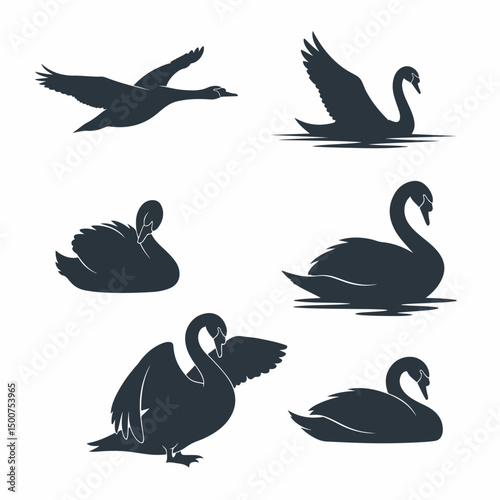 Swan silhouette birds avian waterfowl animal