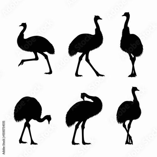 Emu silhouettes assorted poses nature wildlife