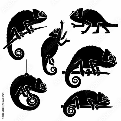 Chameleon lizards silhouette reptiles nature wildlife animal