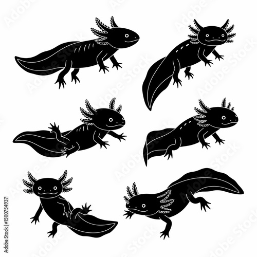 Axolotl animals amphibian silhouette cute salamander underwater
