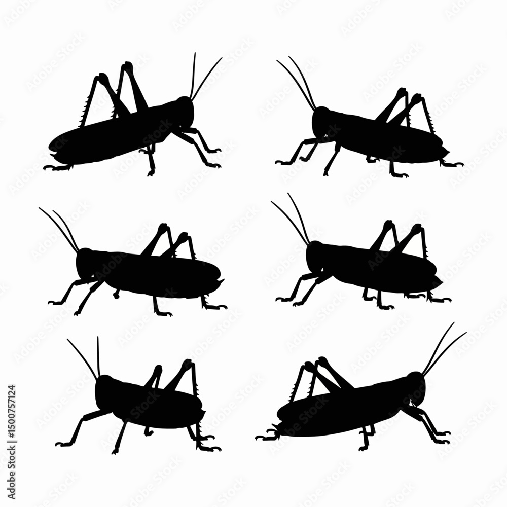 Grasshopper silhouettes insect nature life black