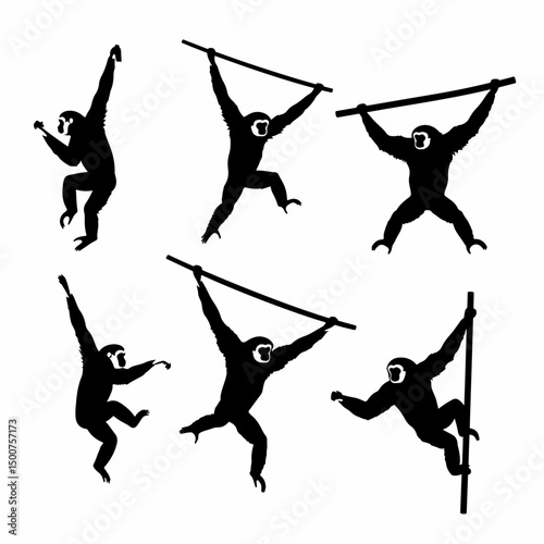 Gibbon ape silhouettes hanging stick, pole swinging