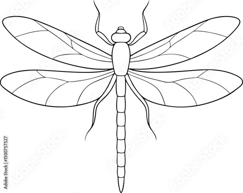 Simple outlined drawing illustrates a dragonfly with striking veined wings against a plain backdrop
