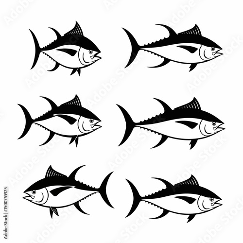 Tuna fish animal sea ocean aquatic seafood