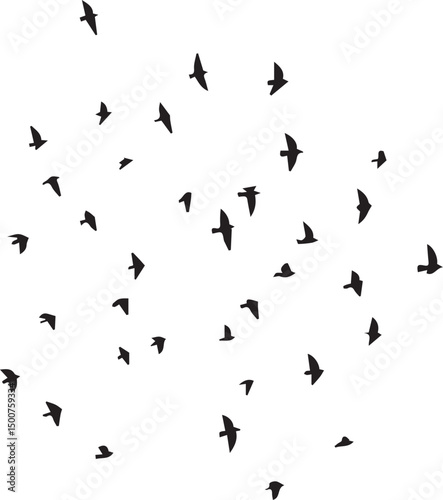 Minimalist Flock of Birds in Flight on White Sky Background