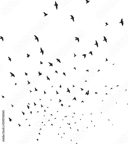 Minimalist Flock of Birds in Flight on White Sky Background