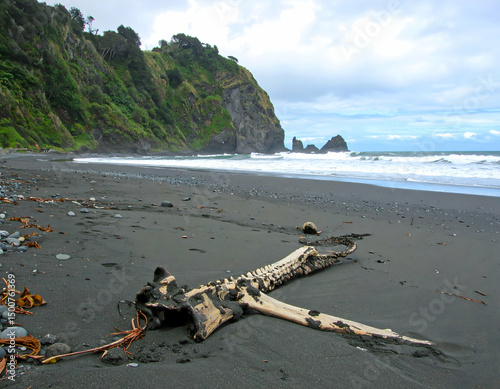 A weathered whale skeleton lies on a black sand beach, surrounded by rocky cliffs and crashing waves under a cloudy sky