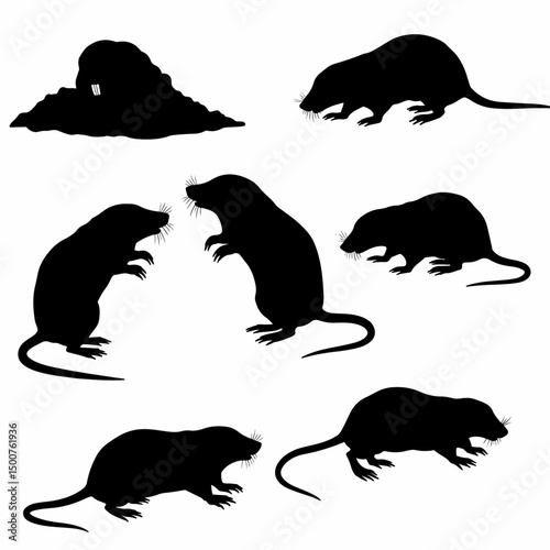 Moles silhouettes on white background. animal wildlife