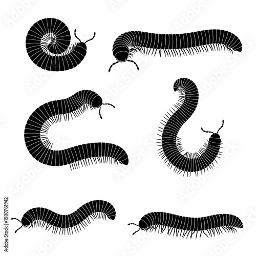 Millipede silhouettes, insect shapes, creepy crawlies