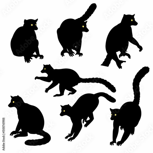 Lemur silhouette wildlife animals fauna mammal primates