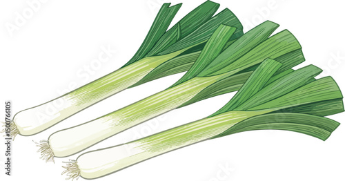 Fresh Leeks Illustration Vibrant Green Vegetables on White Background