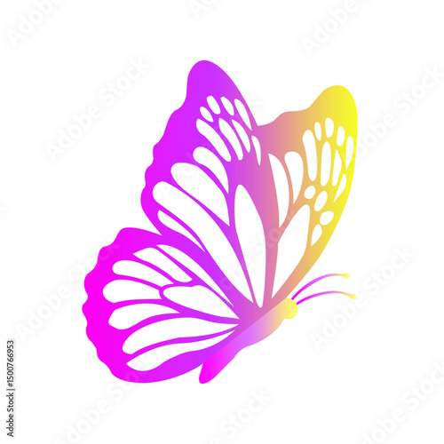 Beautiful pink lily blossom isolated on a clean white background
