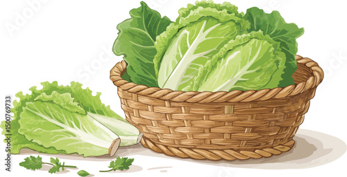 Fresh Green Lettuce in Wicker Basket White Background