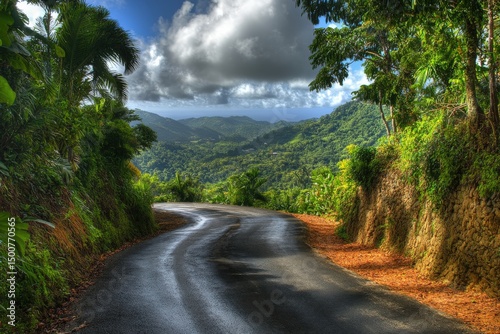Road through lush vegetation landscape