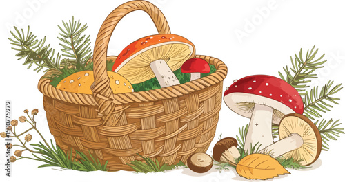 White Background Mushroom in Wicker Basket Vector Illustration