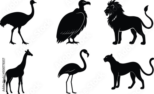 Wild Animal Silhouette Vector Bundle – Lion, Cheetah, Giraffe, Flamingo, Vulture, Ostrich and More