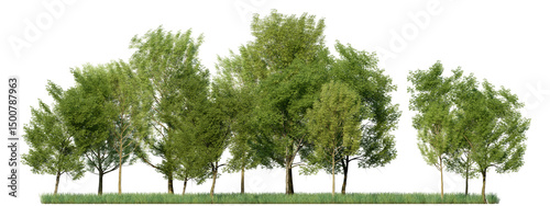 The lush green trees with grass field in the rainy season, 3D rendering for create and design