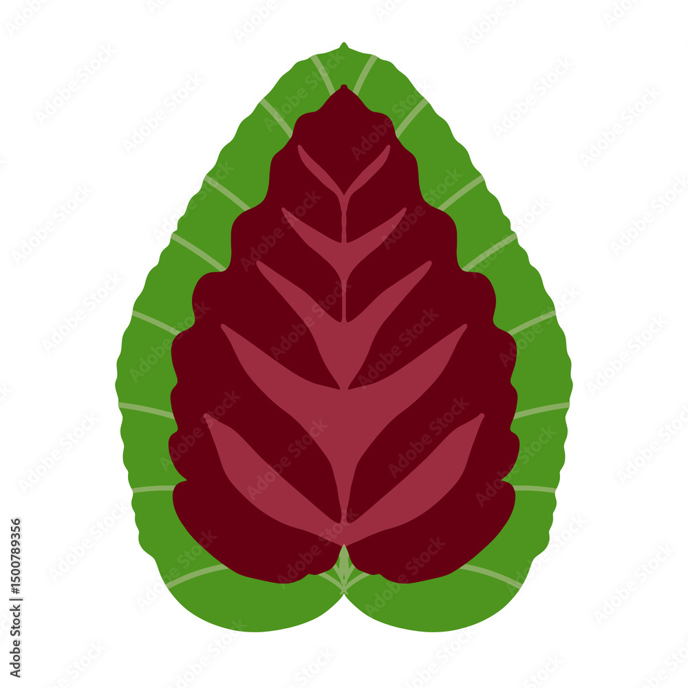 Obraz premium illustration of a green leaf