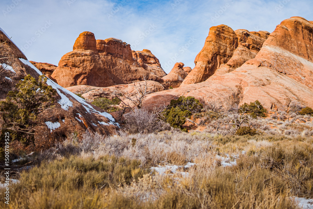 Fototapeta premium Desert Rocks and Shrubs Under Blue Sky in Arches National Park, Utah