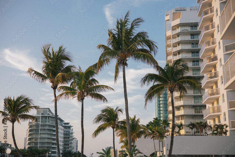 Fototapeta premium nice color photo of Miami Beach