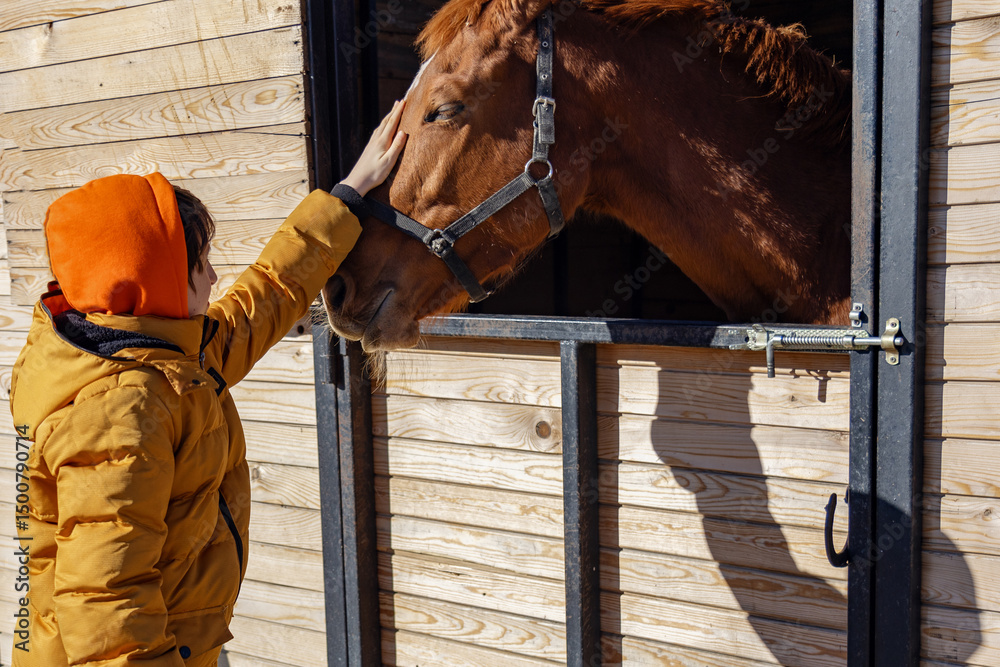 Fototapeta premium Boy in orange hoodie petting a horse outdoors