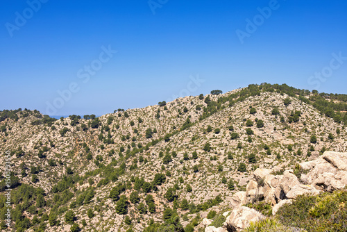 Quadro em tela View at a shrubland on a mountain a sunny summer day
