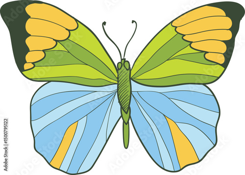 sketch illustration vector design of a butterfly winged animal with wide wings
