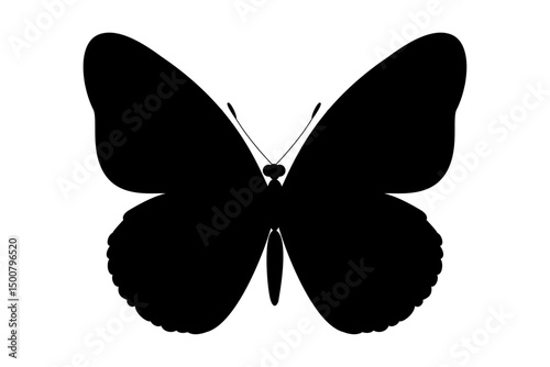 vector realistic silhouette butterfly. Cartoon black clip art isolated on transparent background. Hand drown design element.
