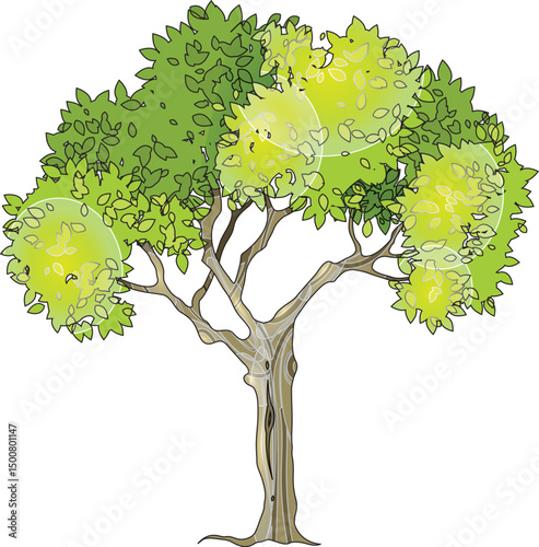 sketch of vector illustration of tree plant design for greening city park
