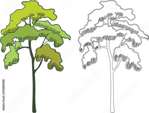 sketch of vector illustration of tree plant design for greening city park