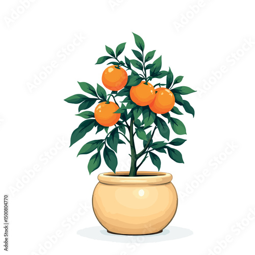 Vsai small orange tree growing in pot with ripe fruits
