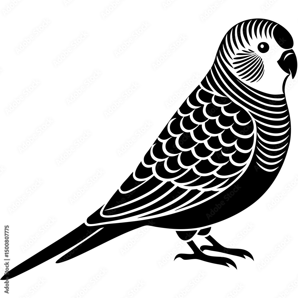 Fototapeta premium bird on branch