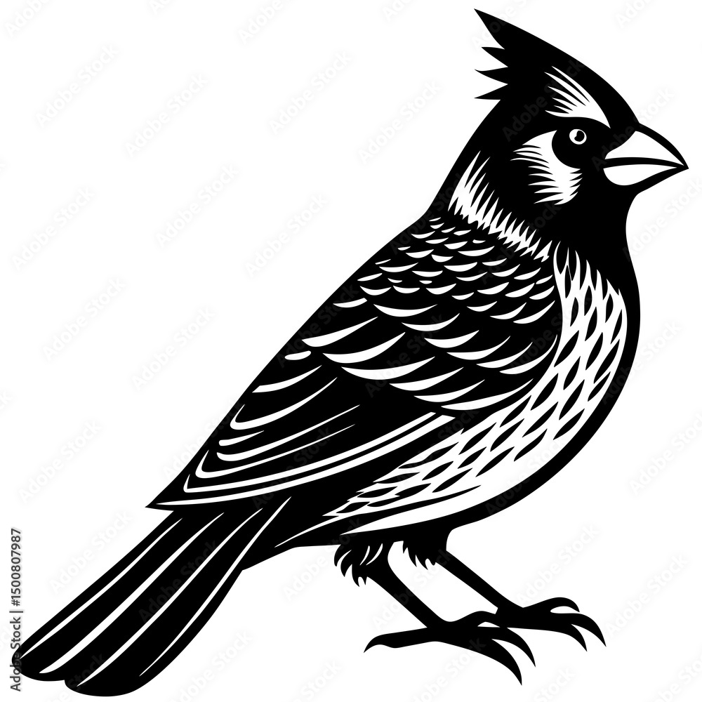 Naklejka premium bird on a branch