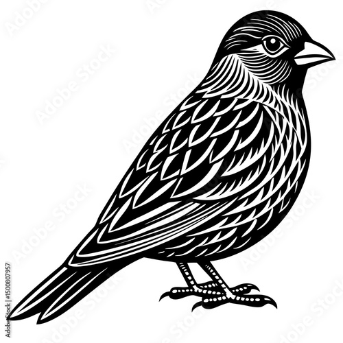 sketch of a bird
