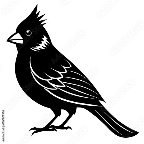 bird on a branch