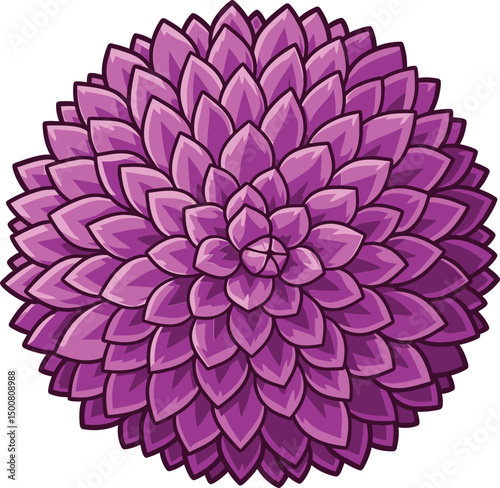 intricate dahlia flower, vibrant purple petals, detailed floral, botanical illustration, highly detailed, realistic, 8k, sharp focus, photorealistic
