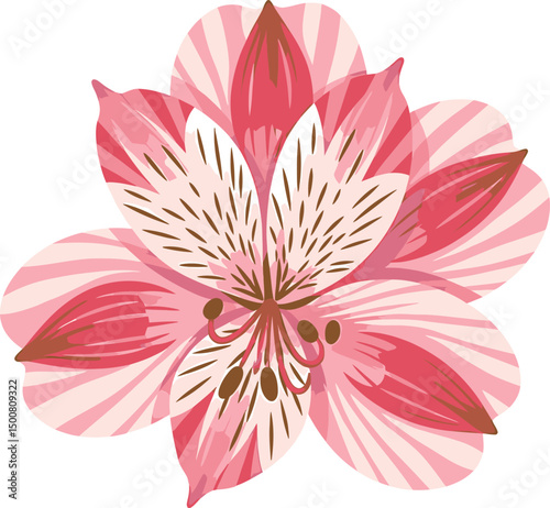 intricate floral, vibrant pink and red petals, detailed petal structures, delicate stamens, lifelike botanical illustration, dynamic composition, digital art

