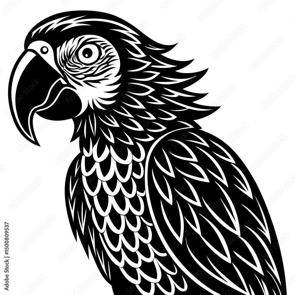 Obraz premium black and white macaw