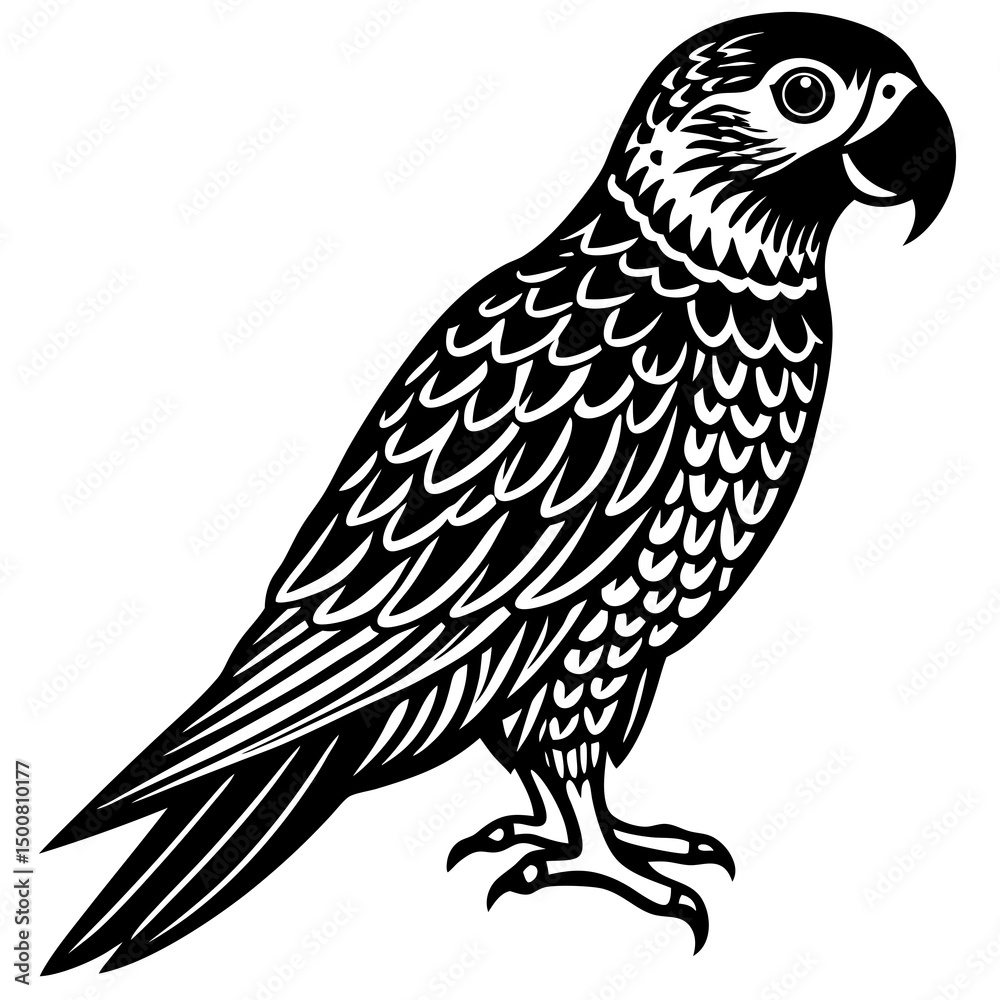 Fototapeta premium bird of prey